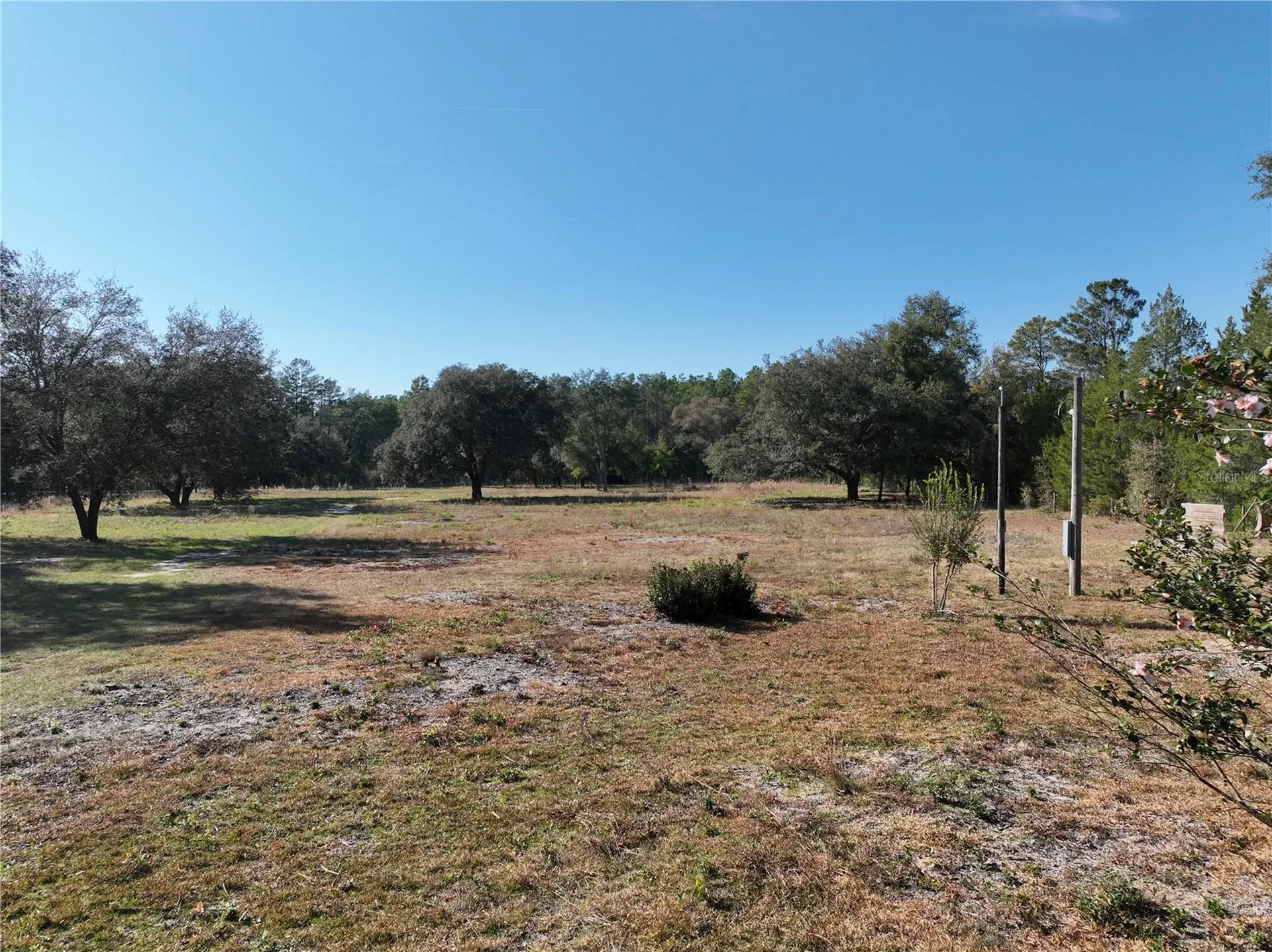 6671 NE 131st Avenue Williston FL 32696