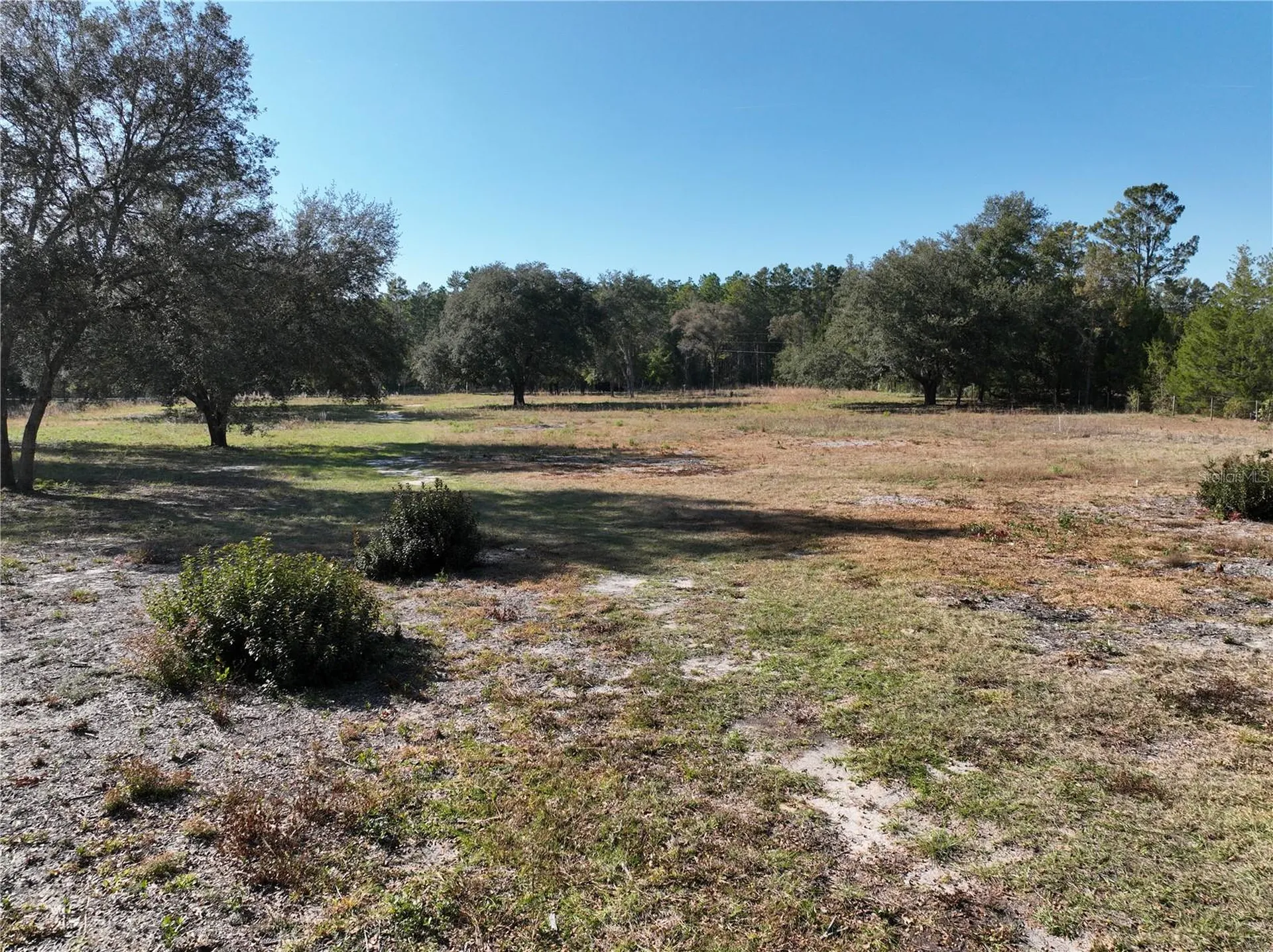 6671 NE 131st Avenue Williston FL 32696
