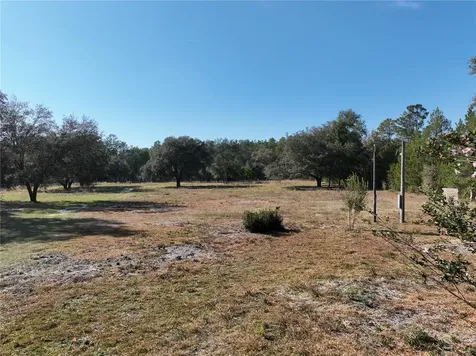 6671 NE 131st Avenue Williston FL 32696