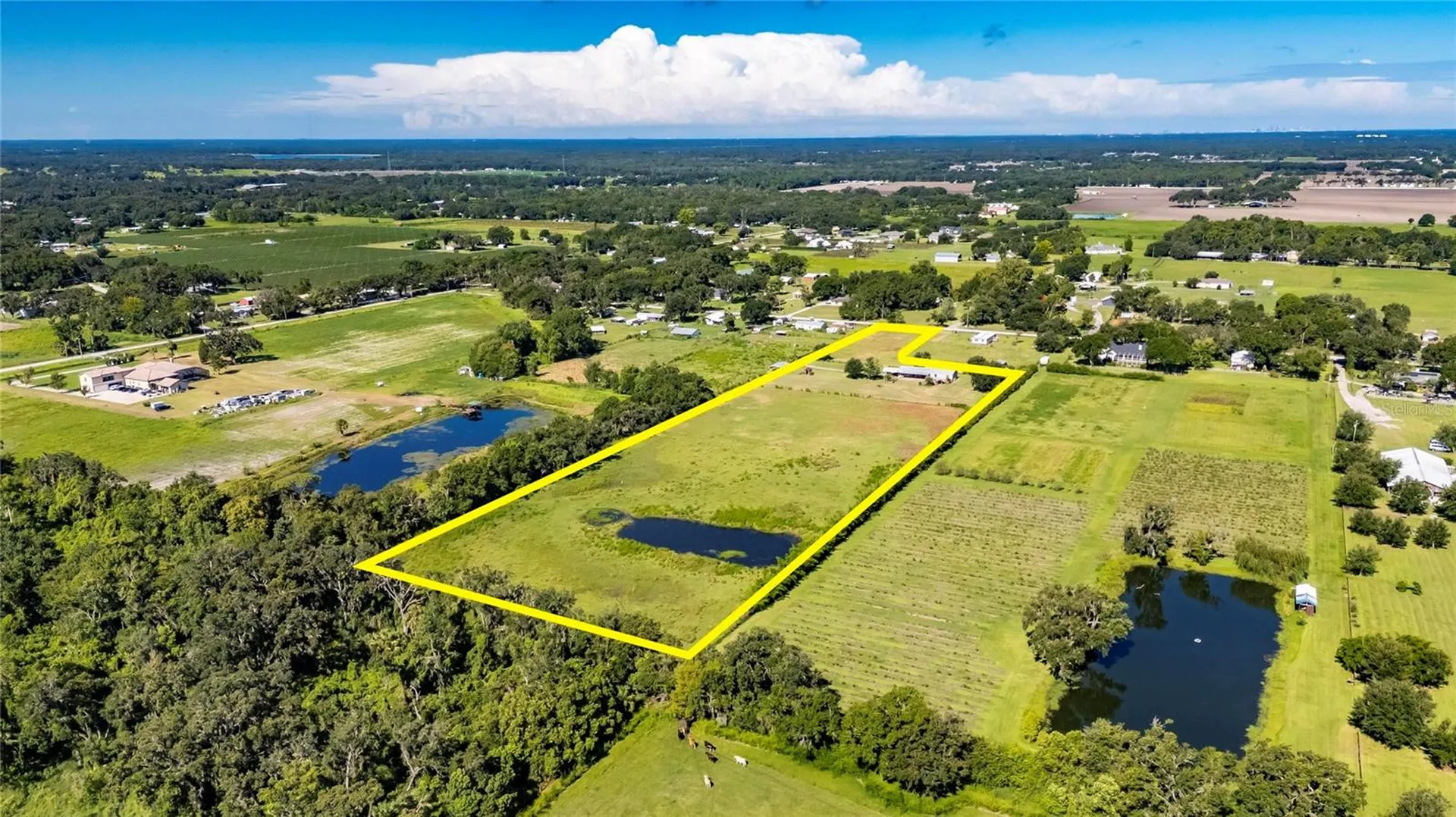 4416 Pippin Road Plant City FL 33567