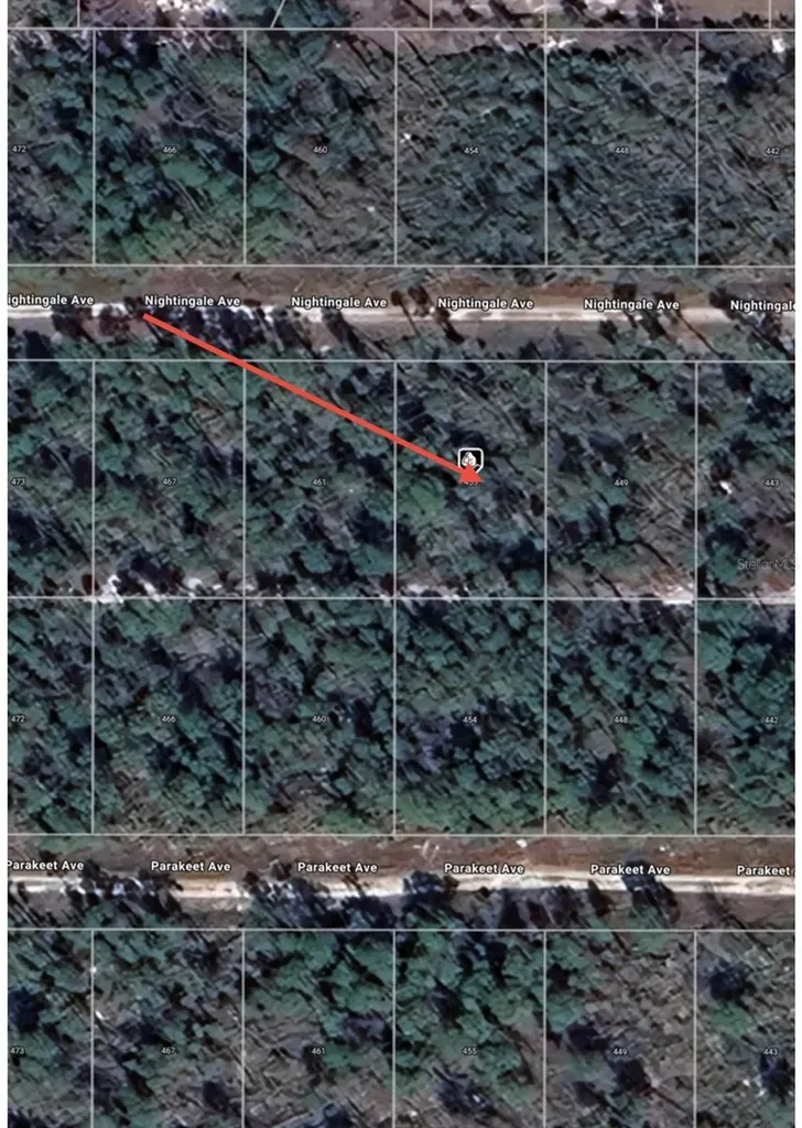 455 Nightingale Avenue Sebring FL 33870