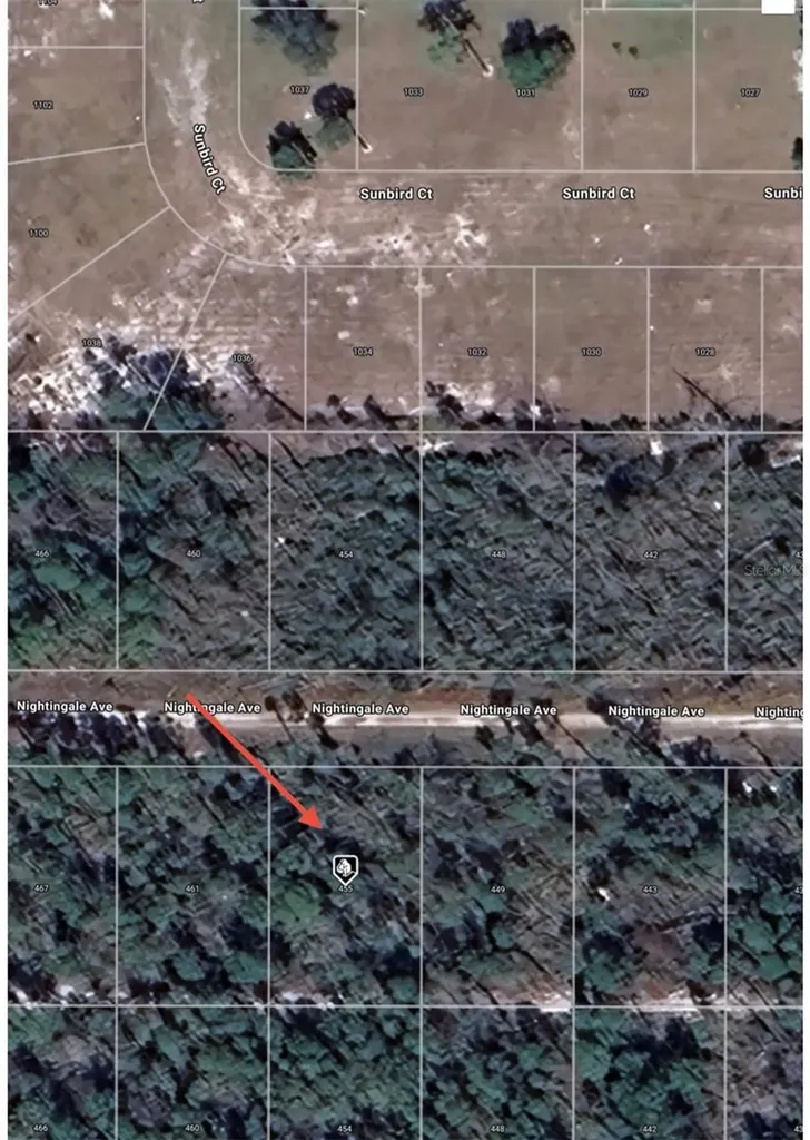 455 Nightingale Avenue Sebring FL 33870