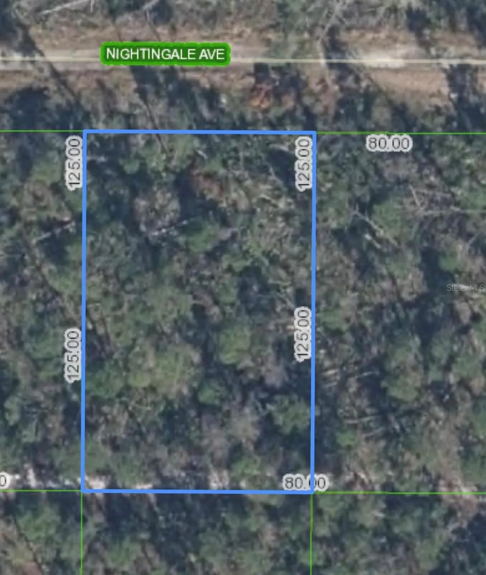 455 Nightingale Avenue Sebring FL 33870