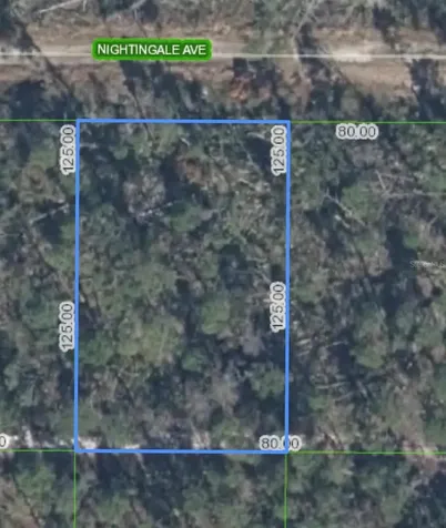 455 Nightingale Avenue Sebring FL 33870