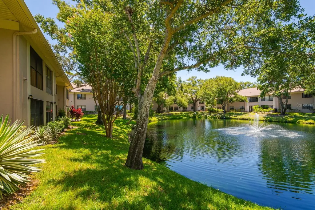 2188 Elm Street Dunedin FL 34698