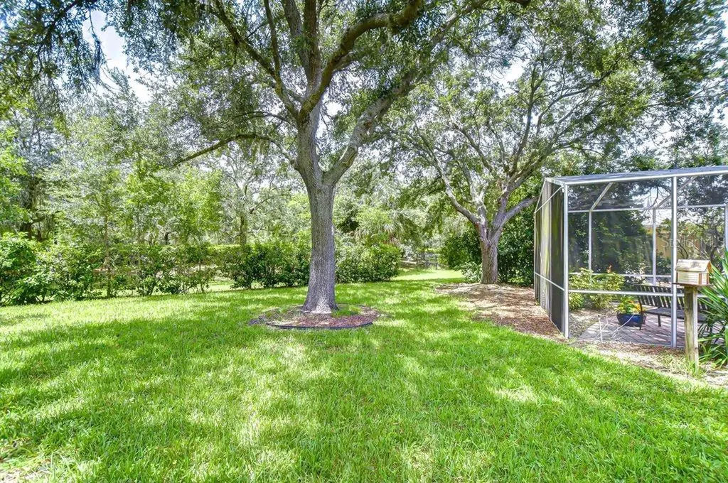 8005 Shaddock Place Land O Lakes FL 34637
