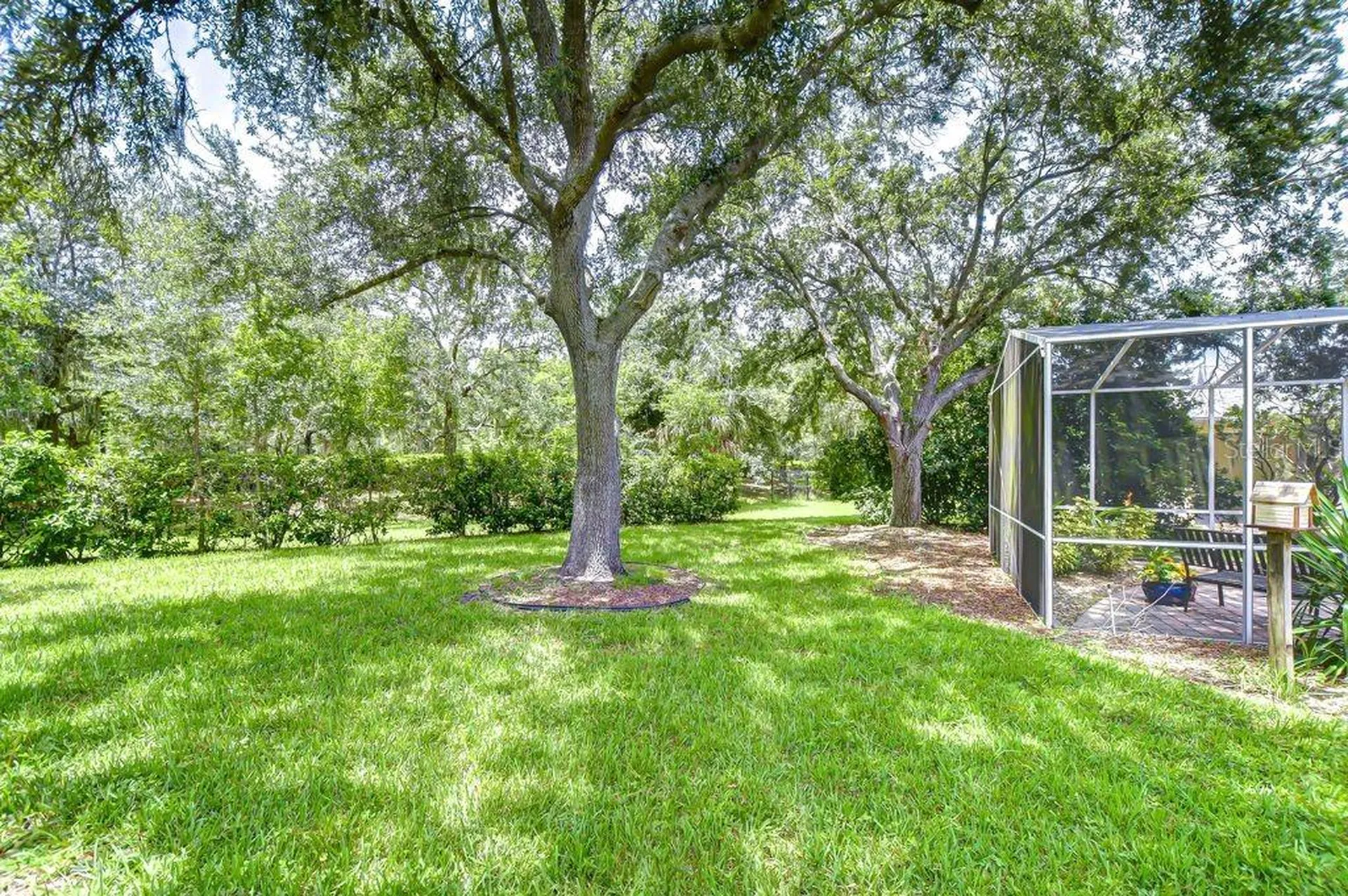 8005 Shaddock Place Land O Lakes FL 34637