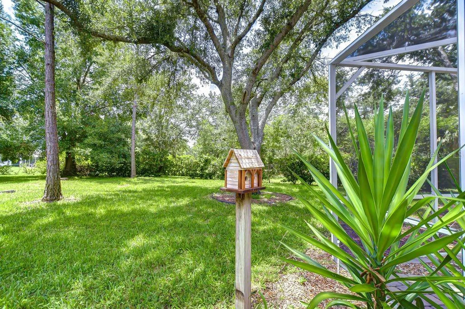 8005 Shaddock Place Land O Lakes FL 34637