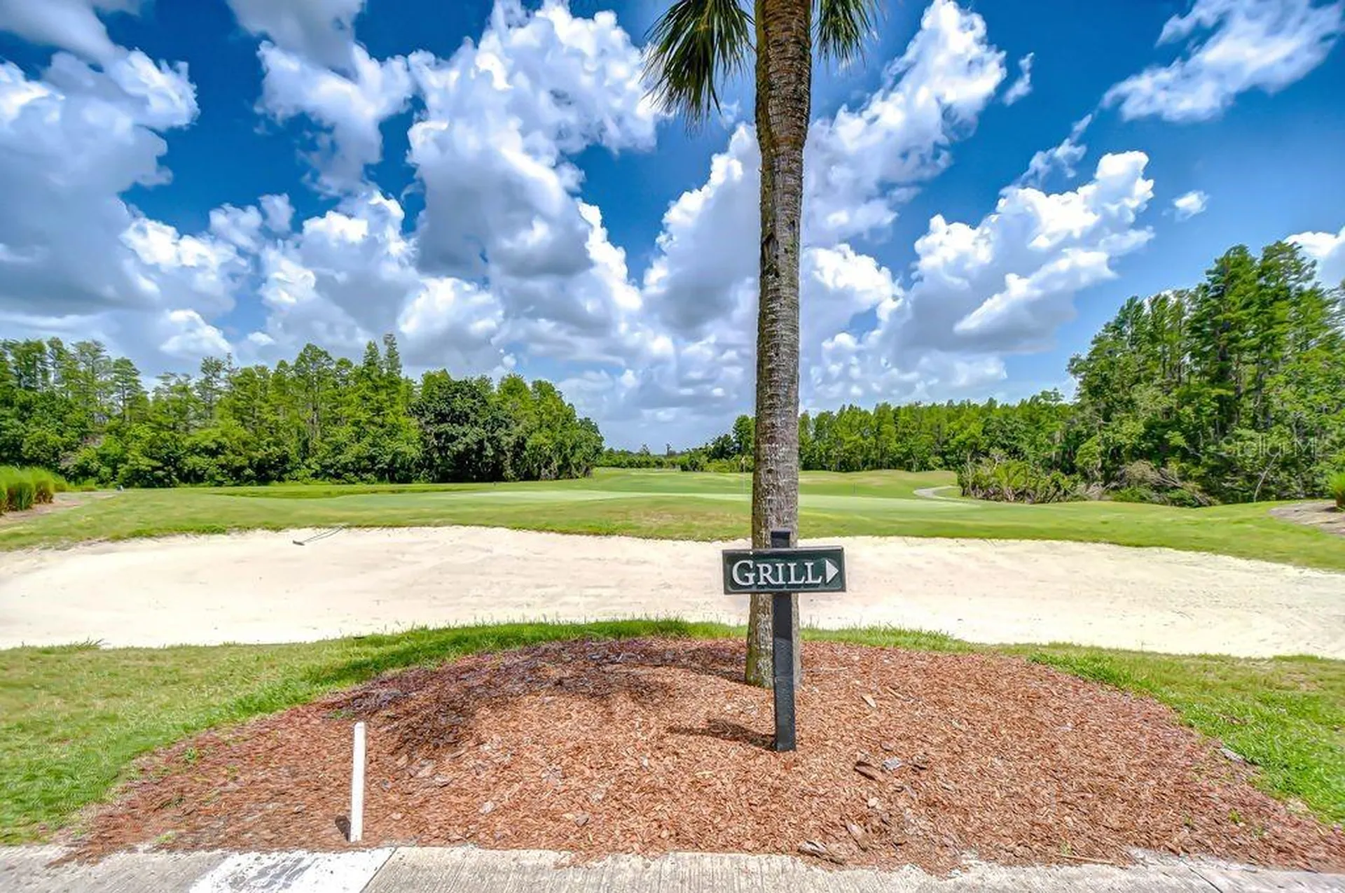 8005 Shaddock Place Land O Lakes FL 34637