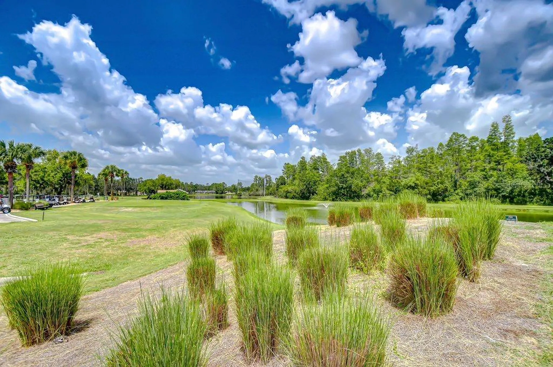8005 Shaddock Place Land O Lakes FL 34637