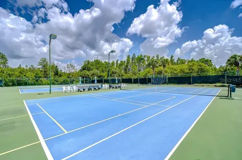 8005 Shaddock Place Land O Lakes FL 34637