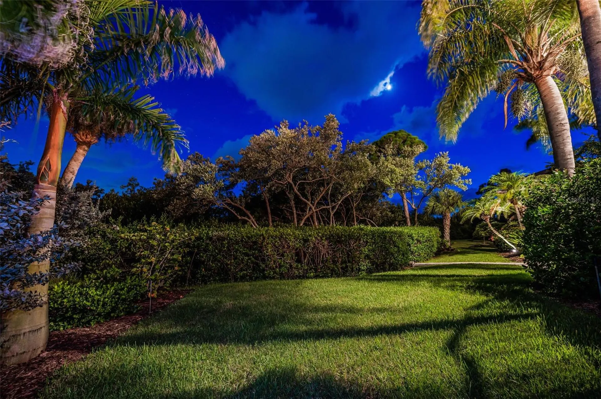 2103 N Pointe Alexis Drive Tarpon Springs FL 34689