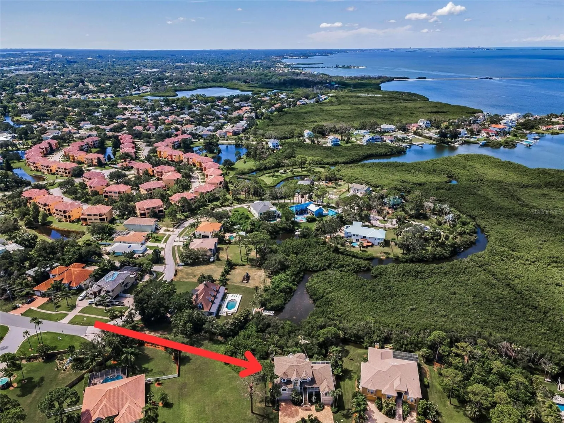 2103 N Pointe Alexis Drive Tarpon Springs FL 34689