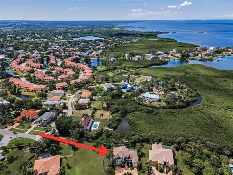 2103 N Pointe Alexis Drive Tarpon Springs FL 34689