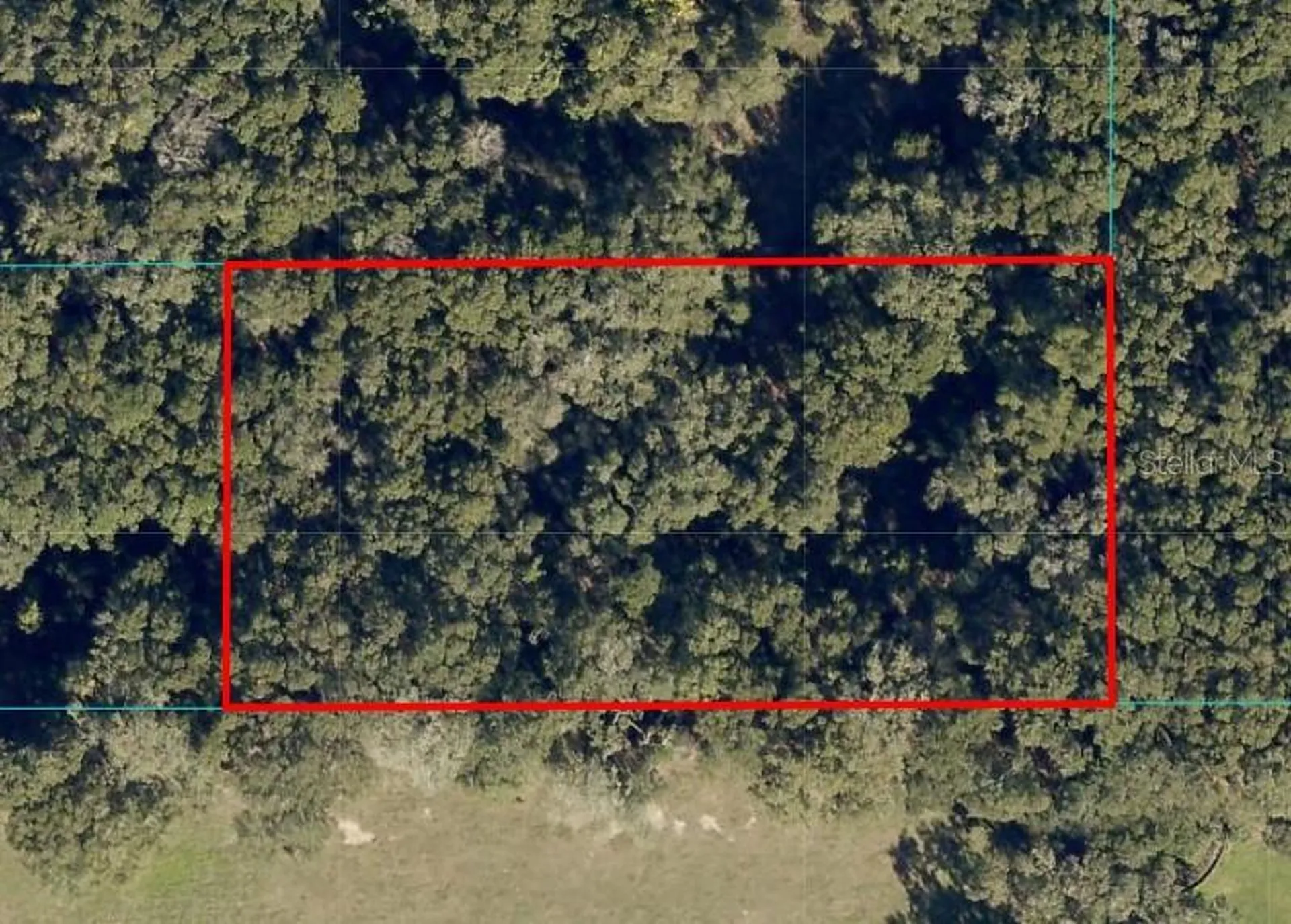 Undetermined Ocala FL 34480