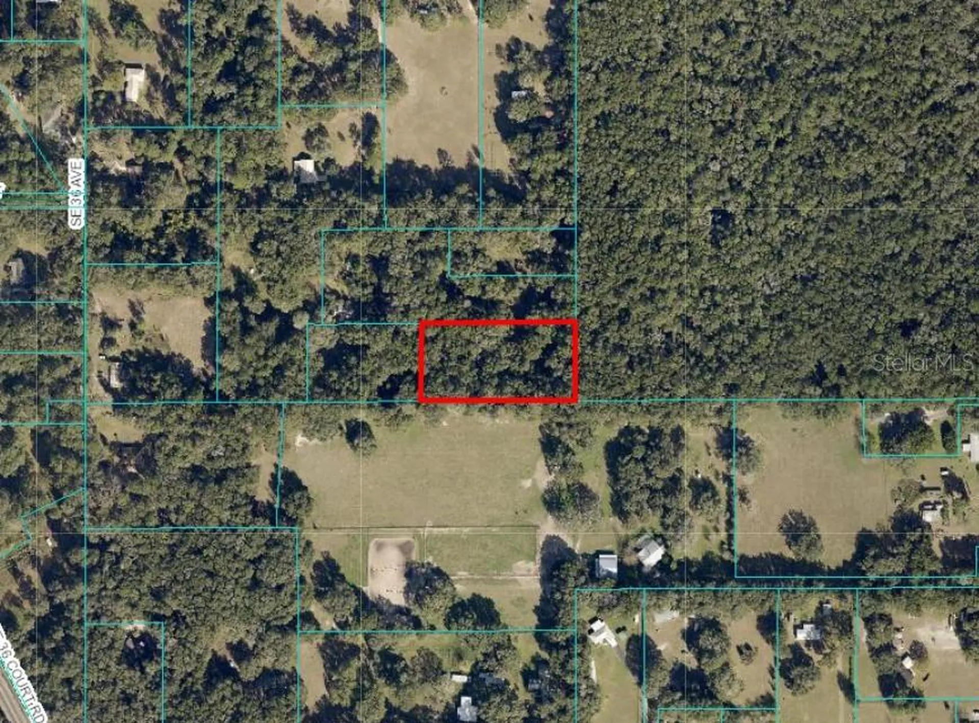 Undetermined Ocala FL 34480