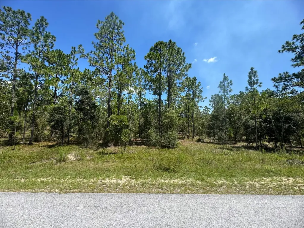 SE 105th Lane Dunnellon FL 34431