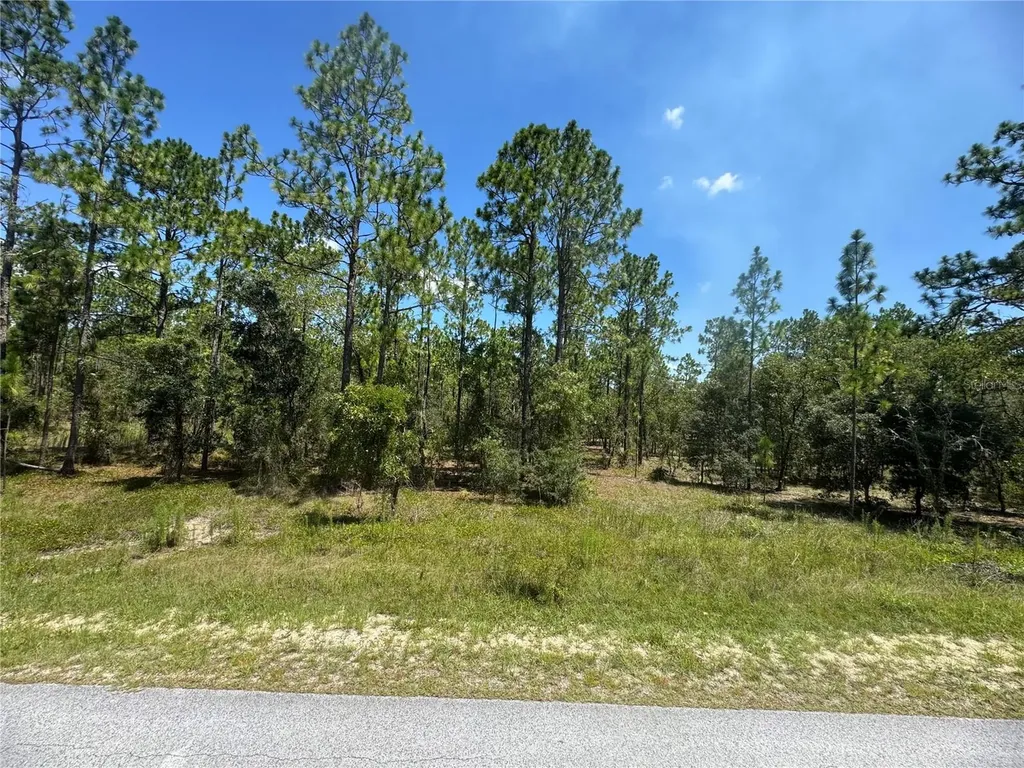 SE 105th Lane Dunnellon FL 34431