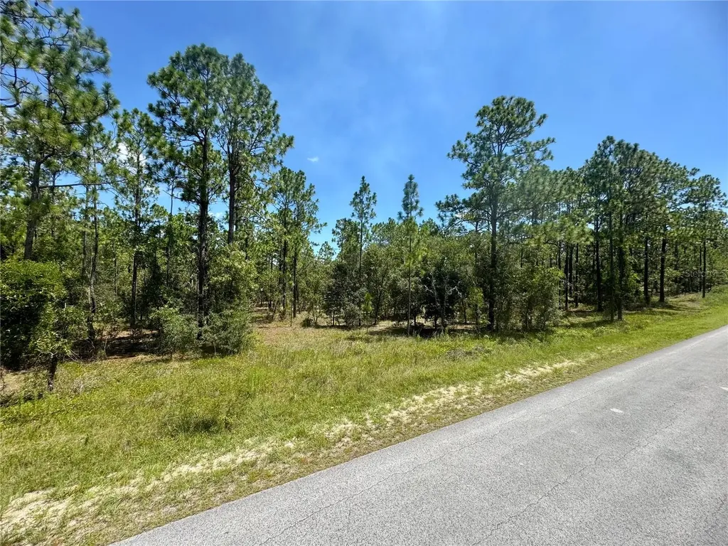 SE 105th Lane Dunnellon FL 34431
