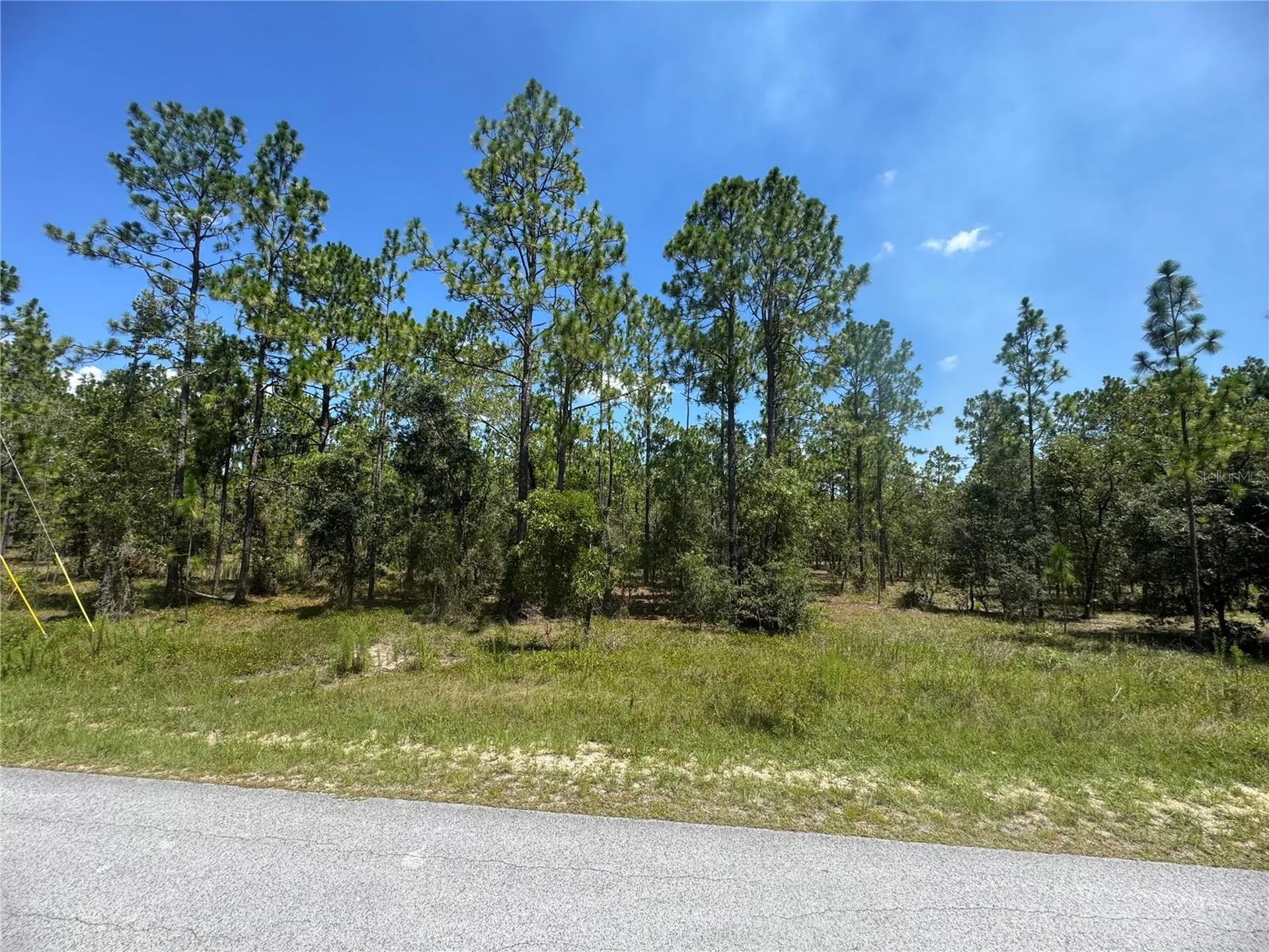 SE 105th Lane Dunnellon FL 34431