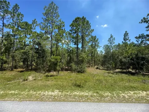SE 105th Lane Dunnellon FL 34431