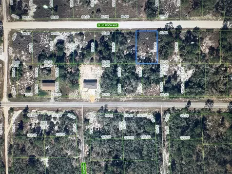 325 Blue Moon Avenue Lake Placid FL 33852