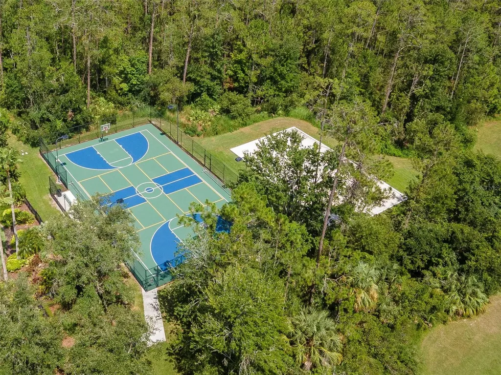 4527 Scarlet Loop Wesley Chapel FL 33544