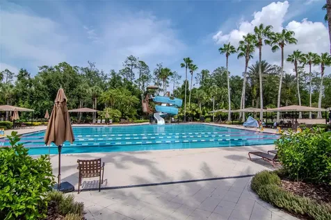 4527 Scarlet Loop Wesley Chapel FL 33544