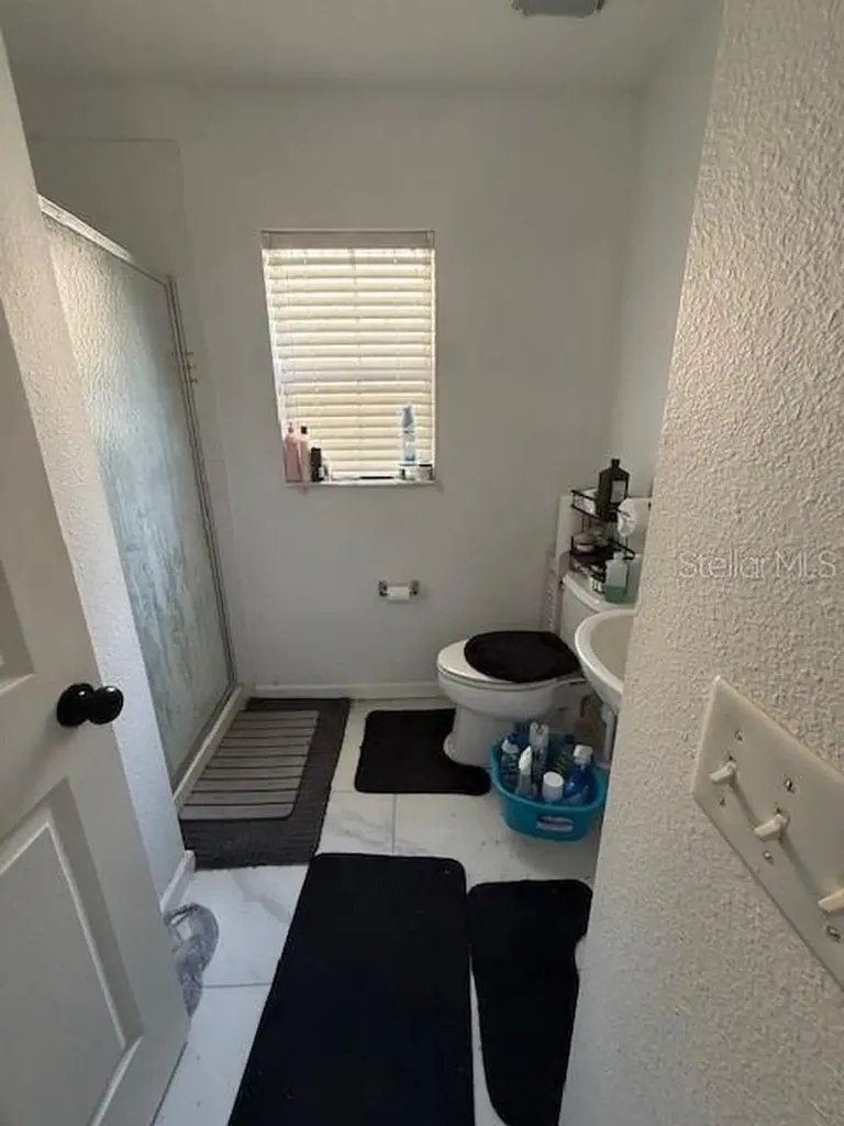4559 Limerick Drive Tampa FL 33610