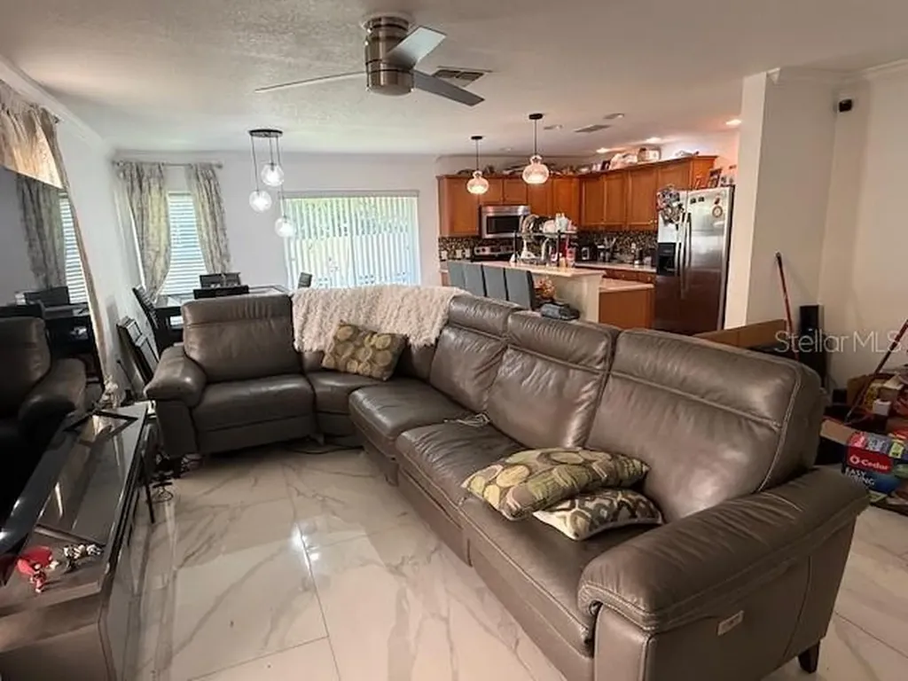 4559 Limerick Drive Tampa FL 33610