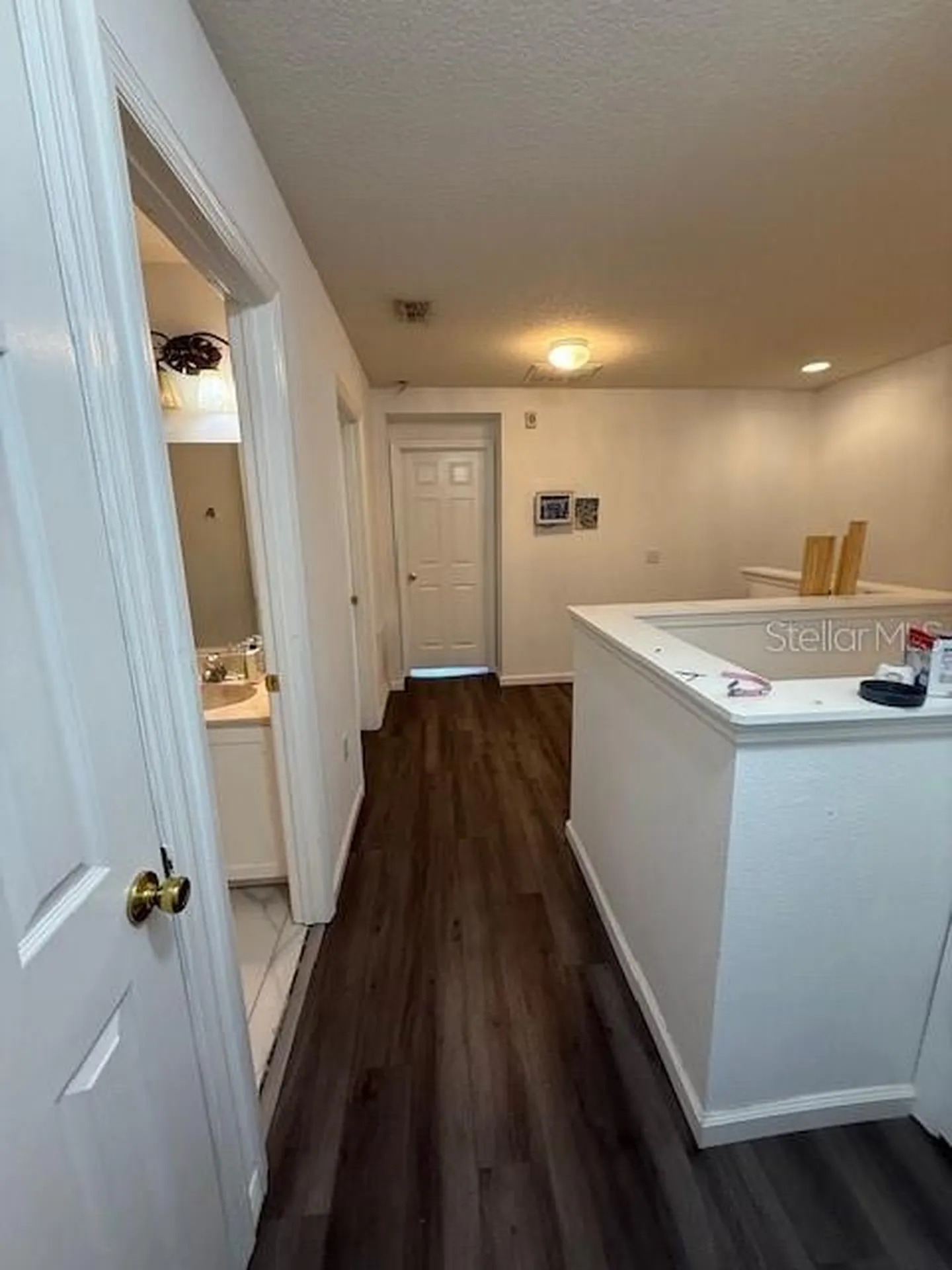 4559 Limerick Drive Tampa FL 33610