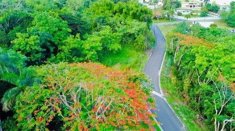Riverside Gated Community Riverside Street Guaynabo PR 00971