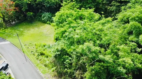 Riverside Gated Community Riverside Street Guaynabo PR 00971
