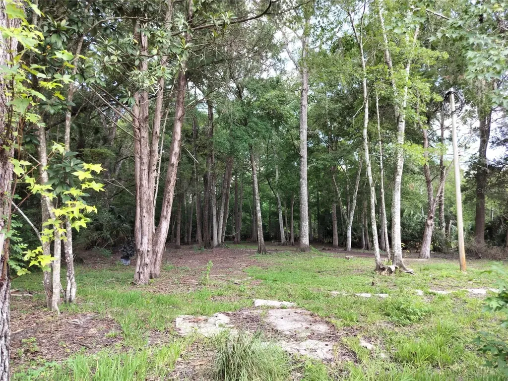523 S Tuck Point Inverness FL 34450