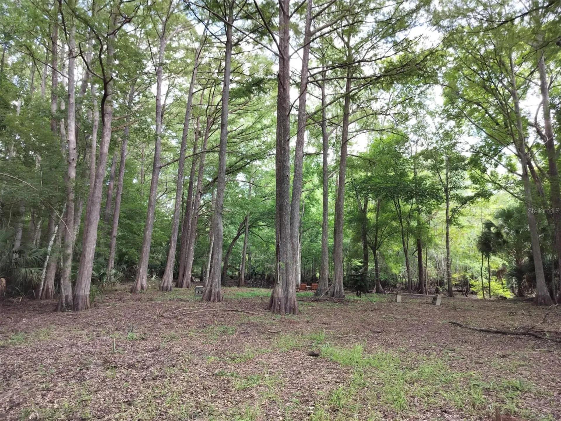 523 S Tuck Point Inverness FL 34450