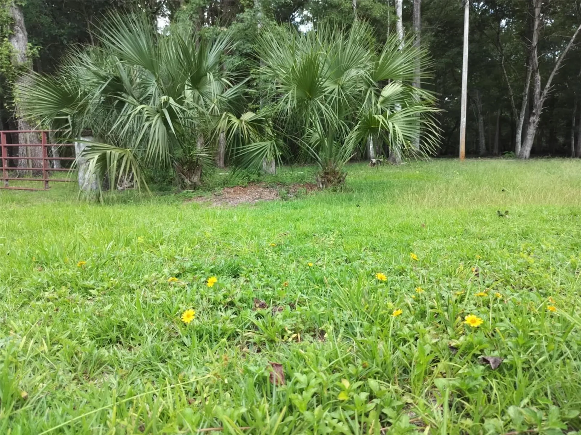 523 S Tuck Point Inverness FL 34450