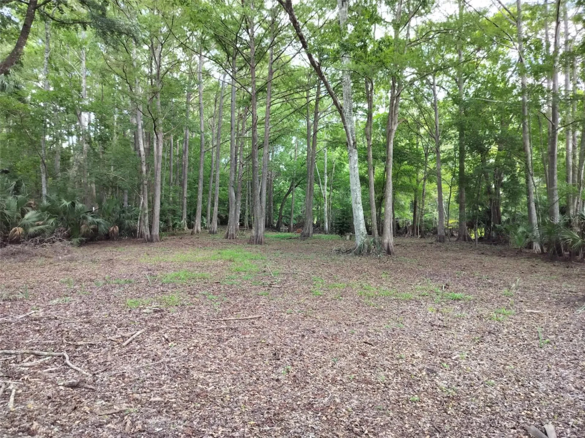 523 S Tuck Point Inverness FL 34450