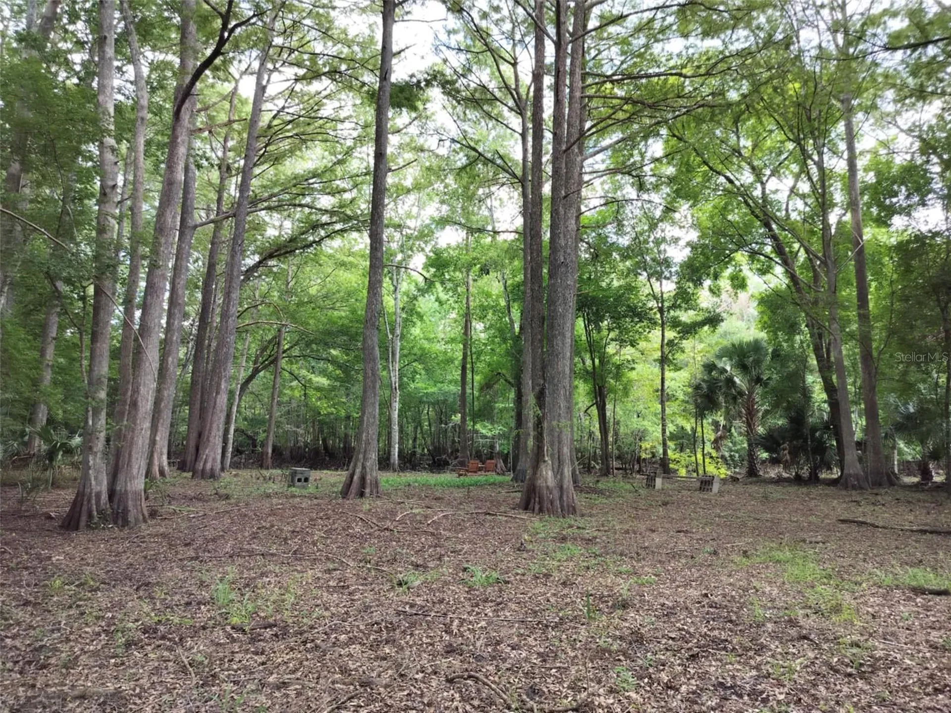 523 S Tuck Point Inverness FL 34450