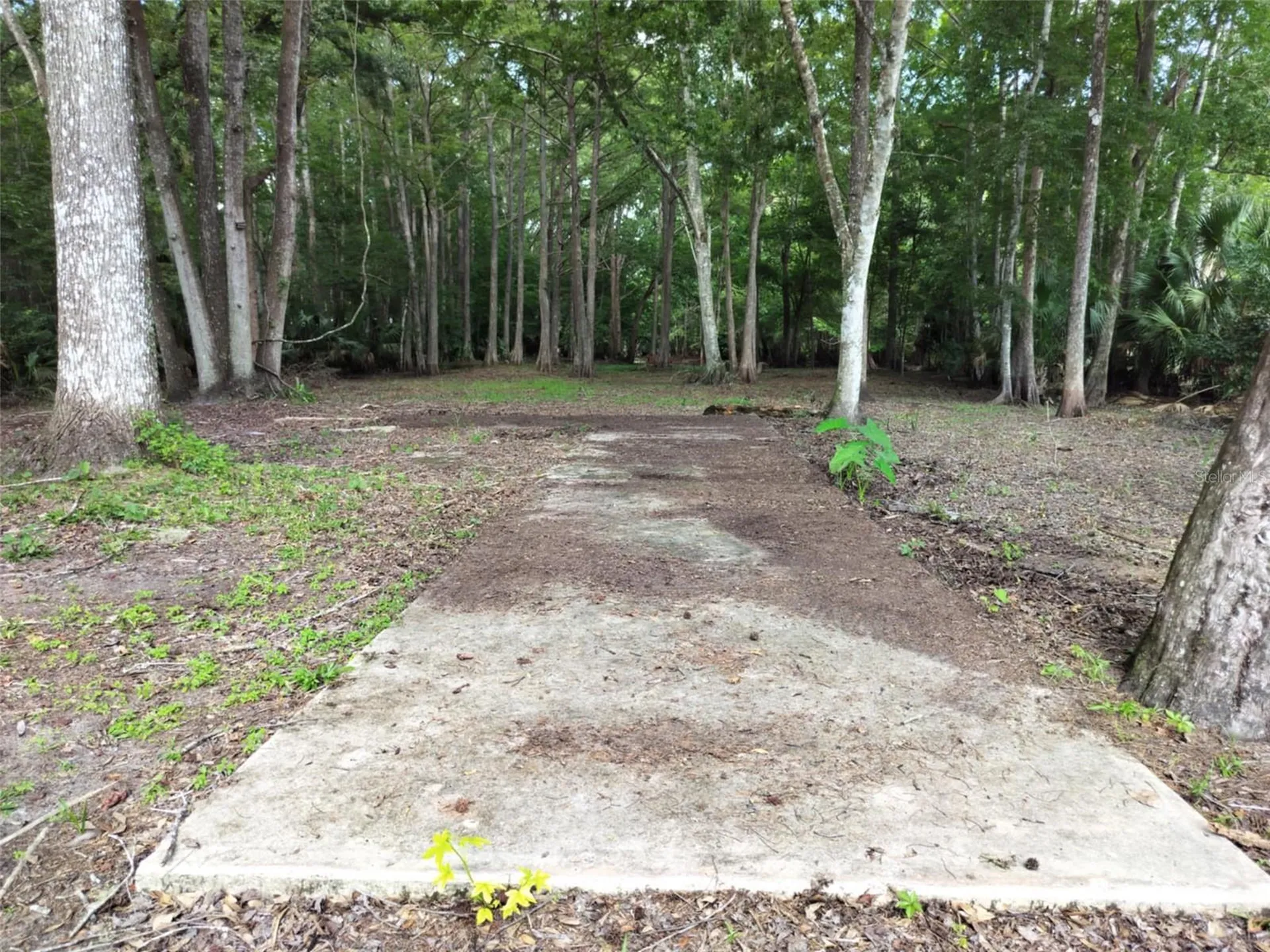 523 S Tuck Point Inverness FL 34450