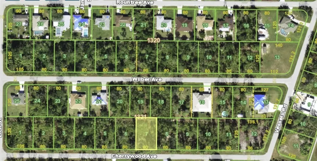 23308 Cherrywood Avenue Punta Gorda FL 33980