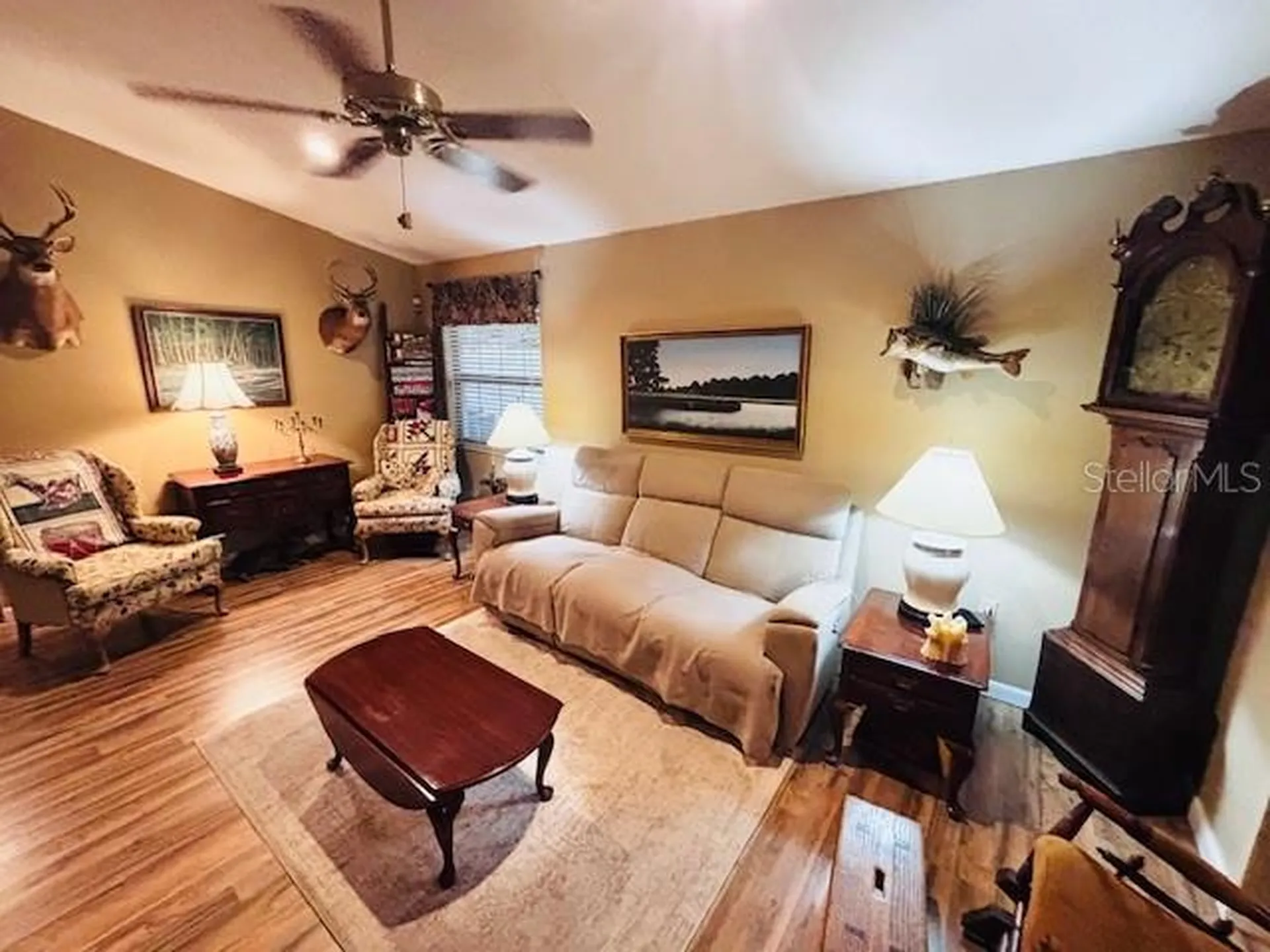 38648 Ferm Circle Zephyrhills FL 33540
