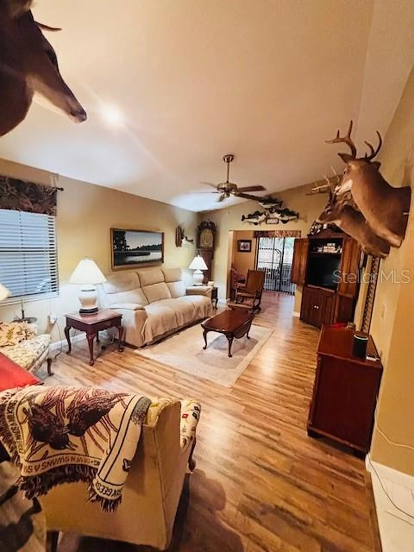 38648 Ferm Circle Zephyrhills FL 33540