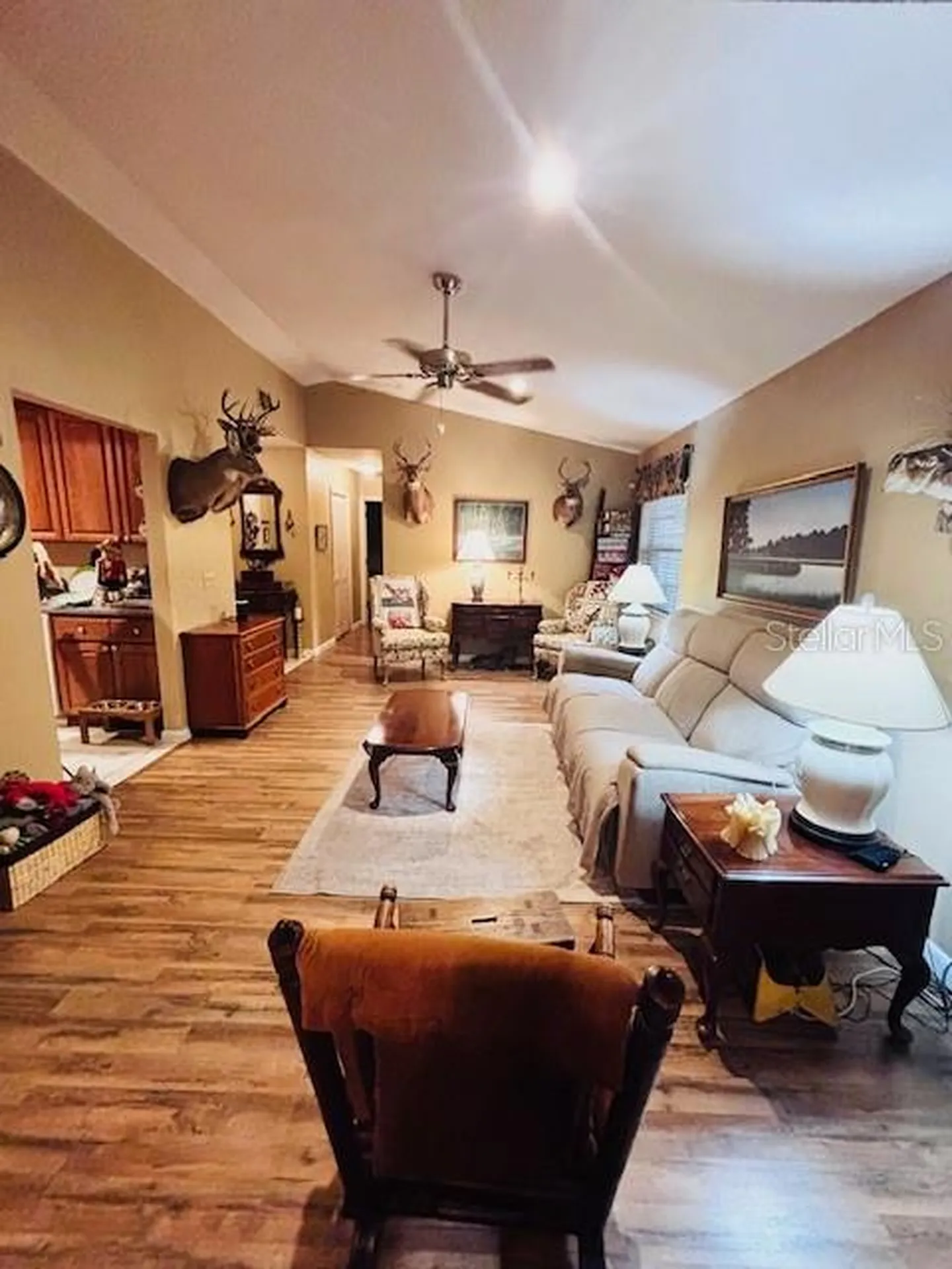 38648 Ferm Circle Zephyrhills FL 33540