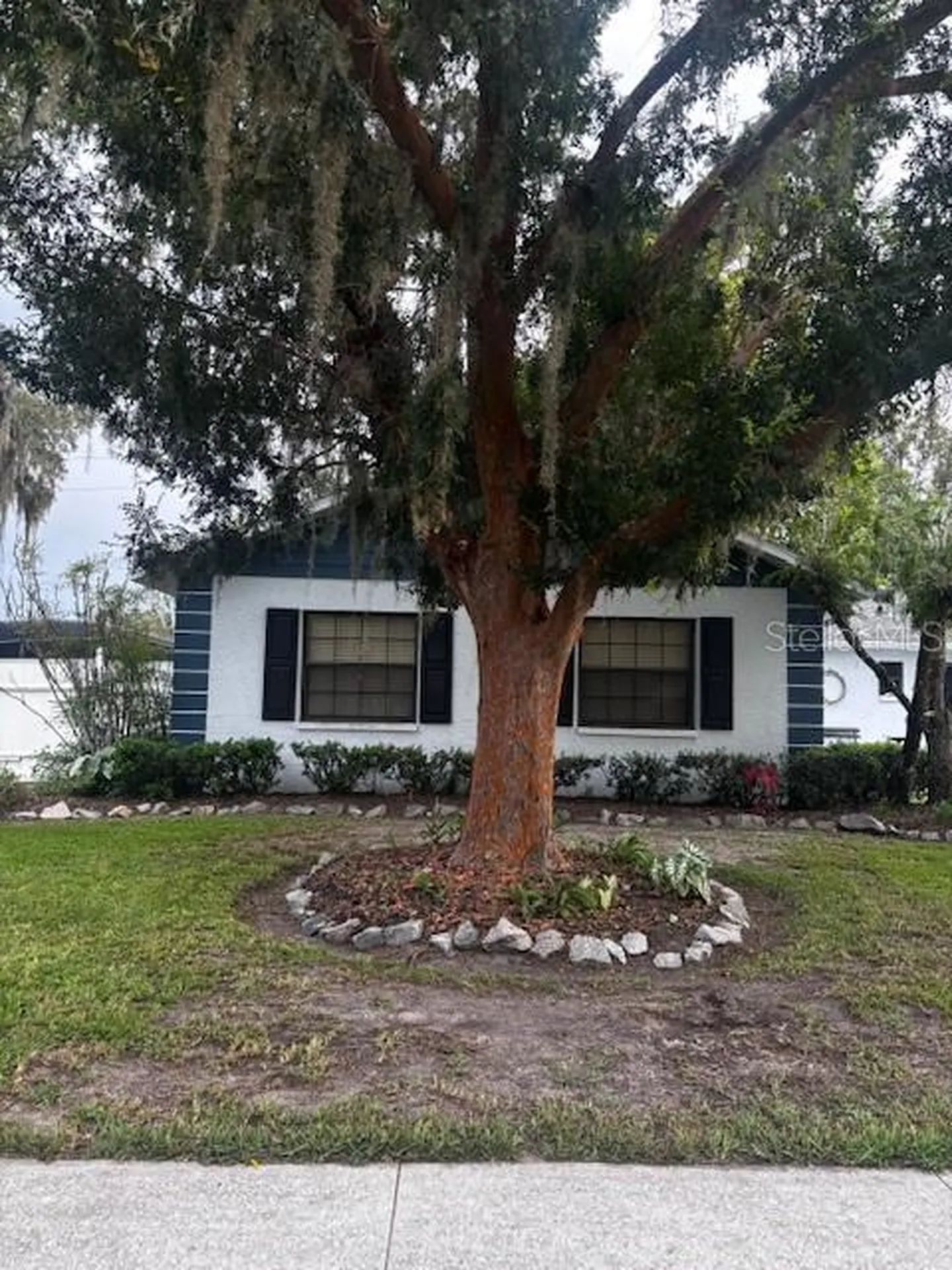 38648 Ferm Circle Zephyrhills FL 33540