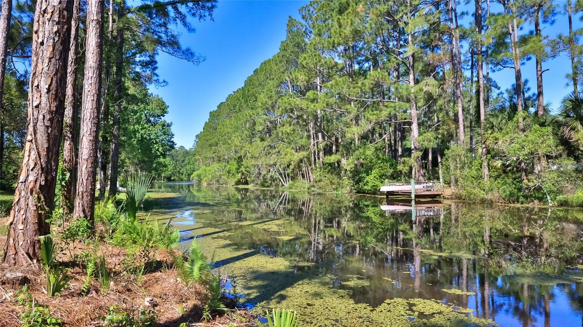 64 Whittington Drive Palm Coast FL 32164