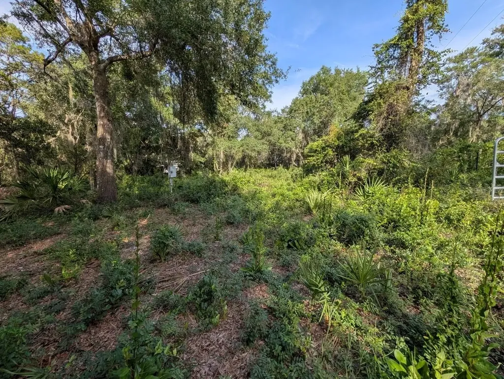 9747 NE 302nd Court Salt Springs FL 32134