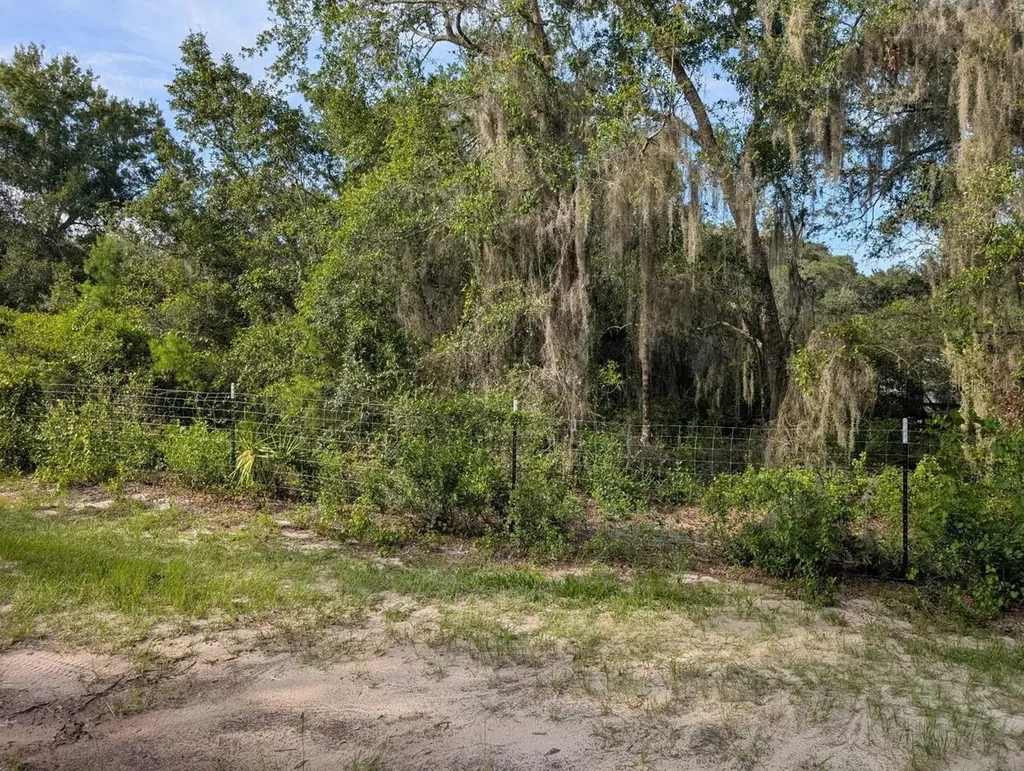 9747 NE 302nd Court Salt Springs FL 32134
