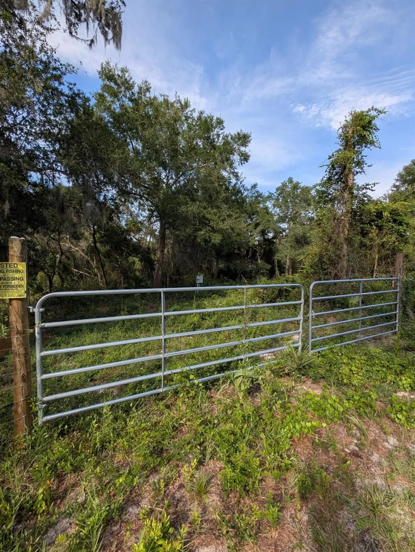 9747 NE 302nd Court Salt Springs FL 32134