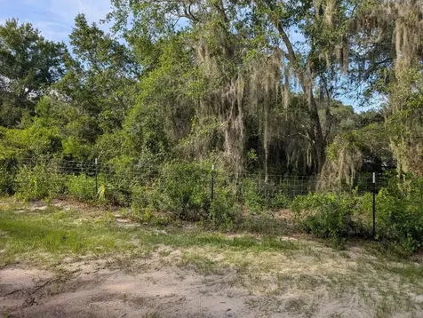 9747 NE 302nd Court Salt Springs FL 32134