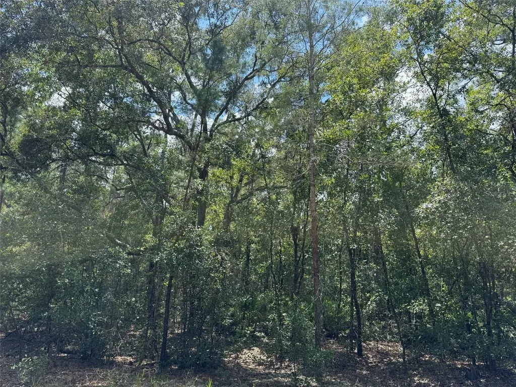 109 Pinellas Street Florahome FL 32140